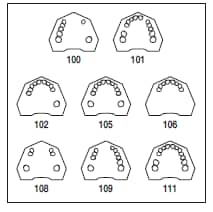 Frasaco Modell Gingiva ÖK 101